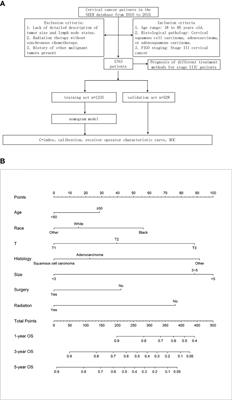 Effect of different treatment modalities on the prognosis of patients with stage IIIC cervical cancer